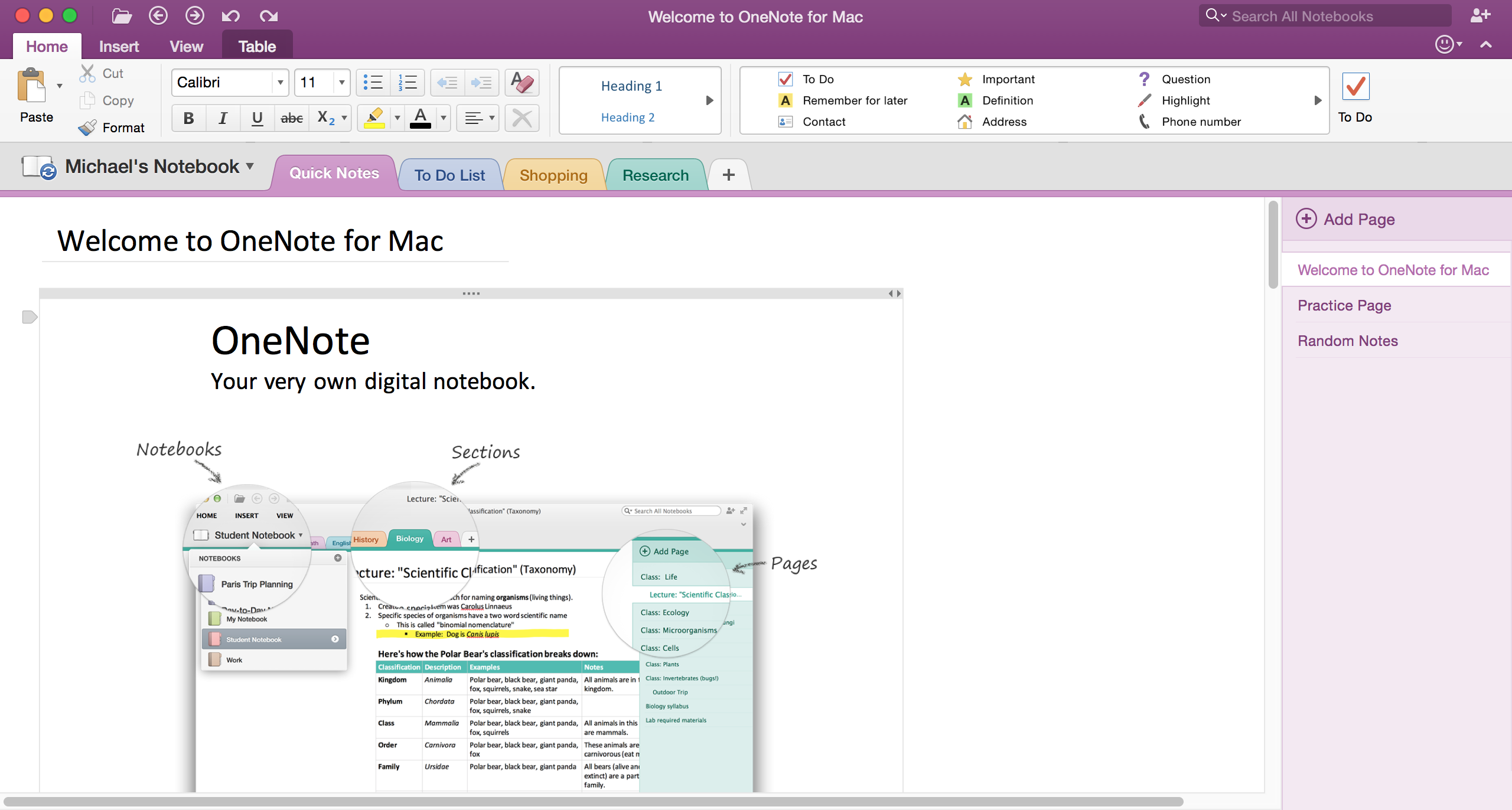 Download Onenote On Mac